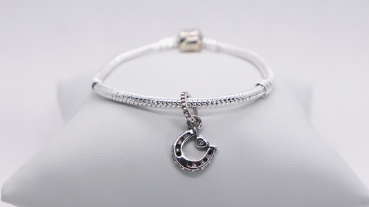 Silver Horseshoe Charm